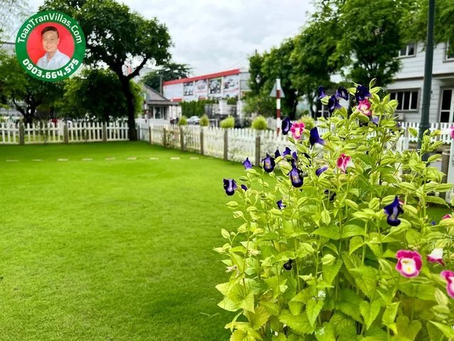 Biệt thự song lập · 240 m² · Garden Homes Thủ Đức