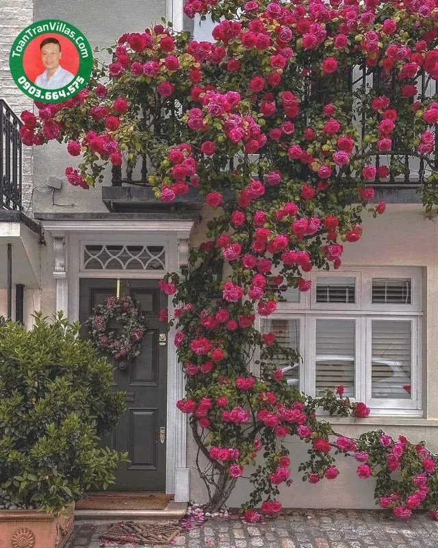 Thủ Đức Garden Homes ảnh 6